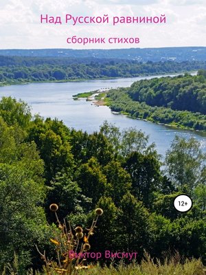 cover image of Над Русской равниной. Сборник стихов